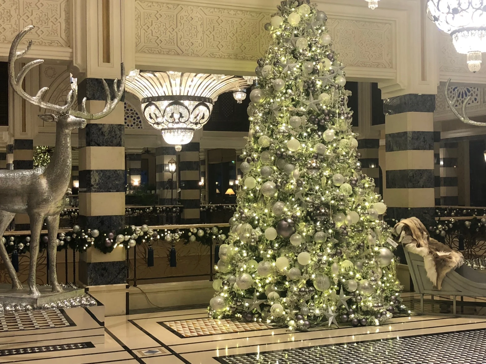 Christmas Decorations in Australia